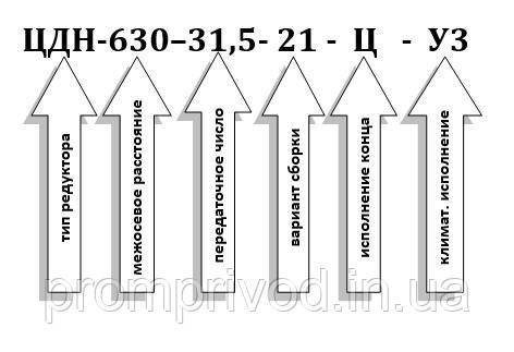 Редуктор ЦДН-630-31,5 547133166 фото