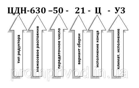 Редуктор ЦДН-630-50 547139524 фото