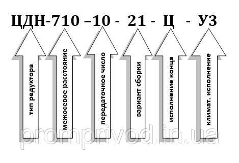 Редуктор ЦДН-710-10 547146871 фото