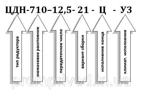 Редуктор ЦДН-710-12,5 547151417 фото