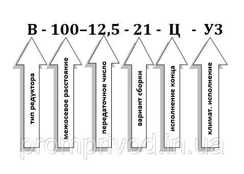 Редуктор В-100-12,5 548042468 фото