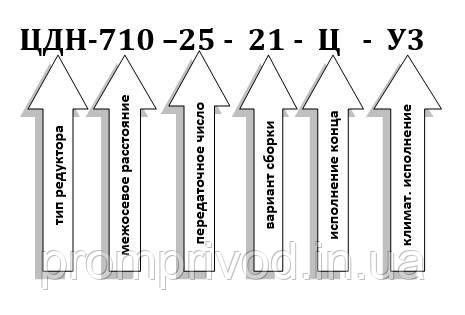 Редуктор ЦДН-710-25 547160214 фото