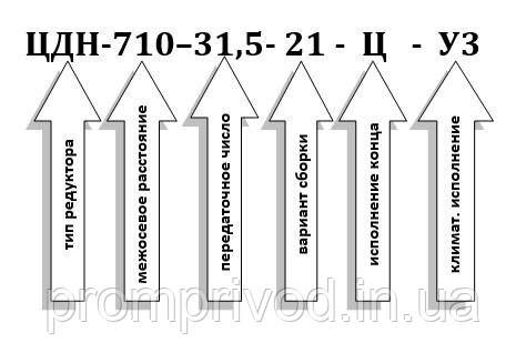 Редуктор ЦДН-710-31,5 547161269 фото