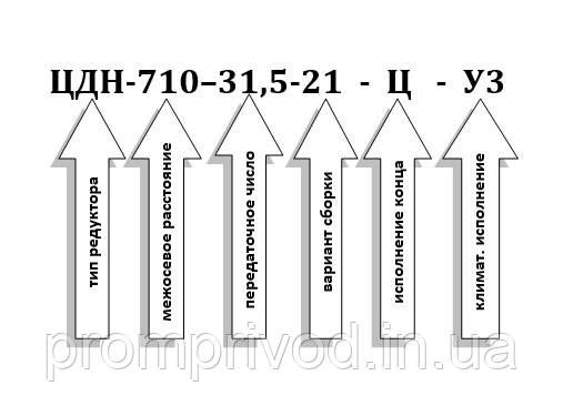 Редуктор ЦДН-710-31,5 511551659 фото