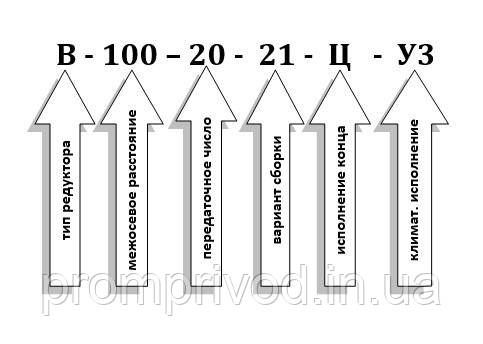Редуктор В-100-20 548049401 фото