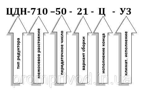Редуктор ЦДН-710-50 547163982 фото