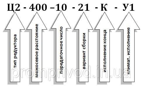 Редуктор Ц2-400-10 511557190 фото