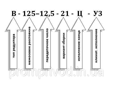 Редуктор В-125-12,5 548072762 фото