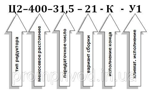 Редуктор Ц2-400-31,5 511579525 фото