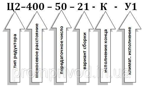 Редуктор Ц2-400-50 511613782 фото