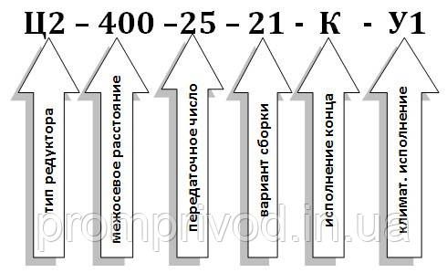 Редуктор Ц2-400-25 511670256 фото