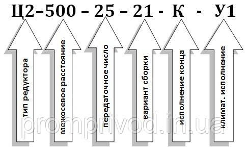 Редуктор Ц2-500-25 511741235 фото