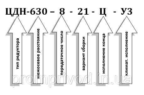 Редуктор ЦДН-630-8 547123115 фото