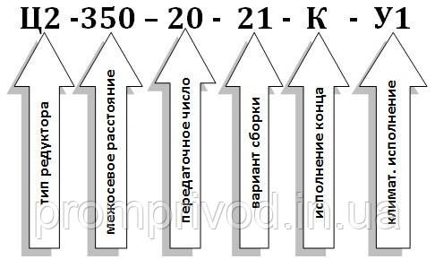 Редуктор Ц2-350-20 511022931 фото