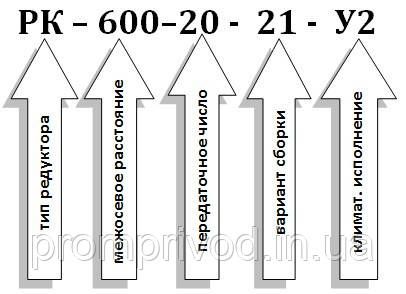 Редуктор РК-600-20 542919790 фото