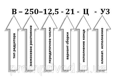 Редуктор В-250-12,5 551971109 фото