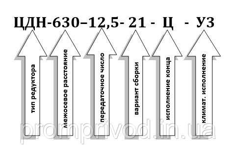 Редуктор ЦДН-630-12,5 547126025 фото