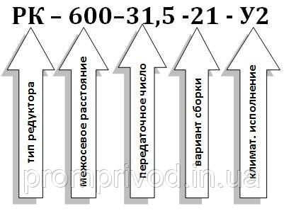 Редуктор РК-600-31,5 542923443 фото