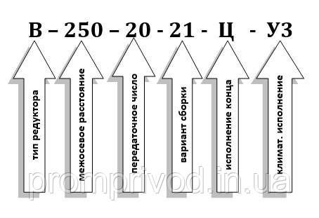 Редуктор В-250-20 551971459 фото
