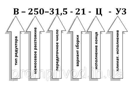 Редуктор В-250-31,5 551972899 фото