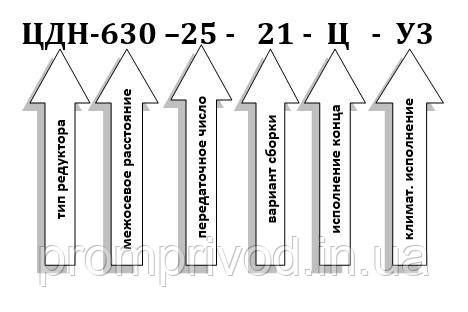 Редуктор ЦДН-630-25 547131119 фото