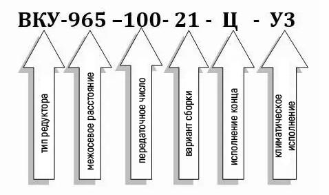 Пример условного обозначения редуктора ВКУ-965М-100