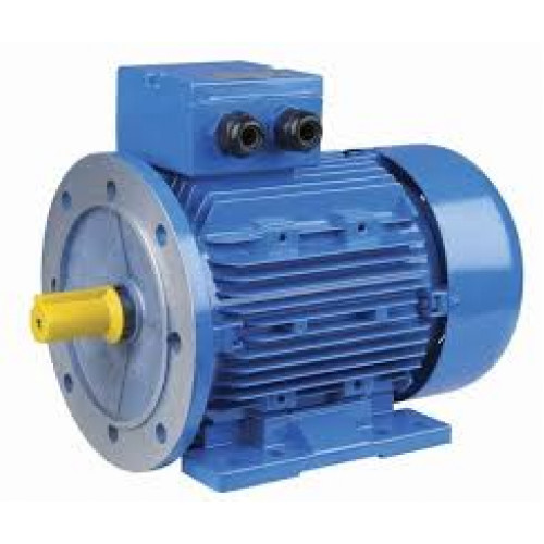Електродвигун АІР100L8
