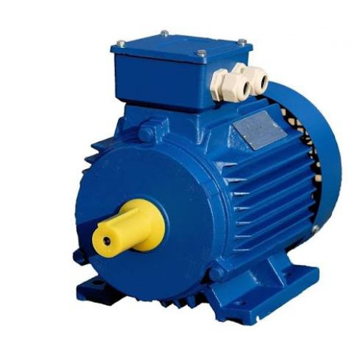 Електродвигун АІР100L8