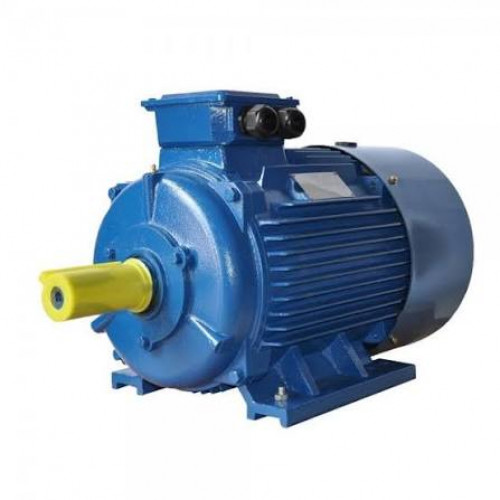Електродвигун АІР100L8