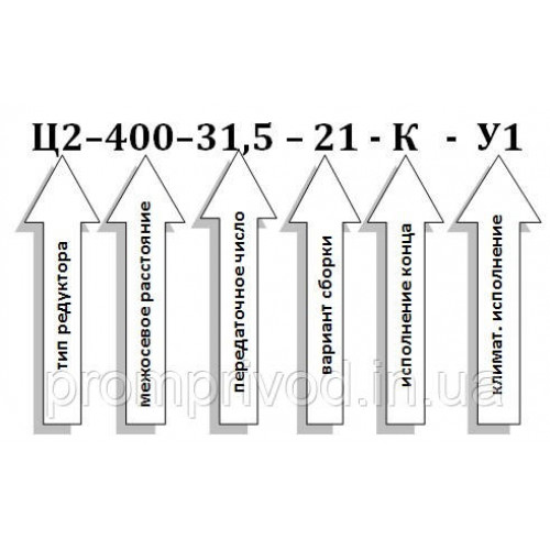 Редуктор Ц2-400-31,5