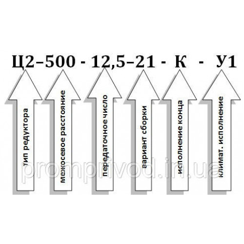 Редуктор Ц2-500-12,5