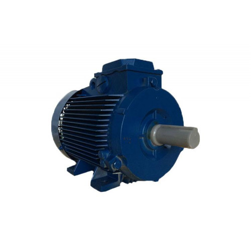Электродвигун АИР225М2