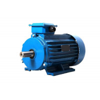 Електродвигун АІР56В4