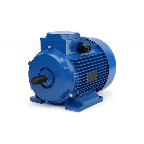 Электродвигун АИР315М6
