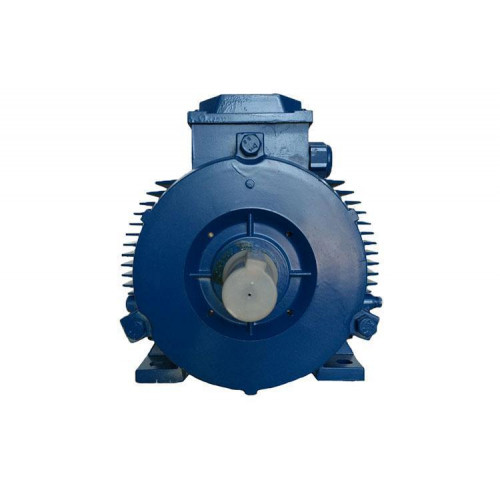 Электродвигун АИР315М8