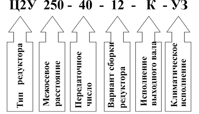 Пример условного обозначения редуктора 1Ц2У-250 Пример условного обозначения редуктора 1Ц2У-250