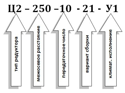 Условное обозначение редуктора Ц2-250 Условное обозначение редуктора Ц2-250