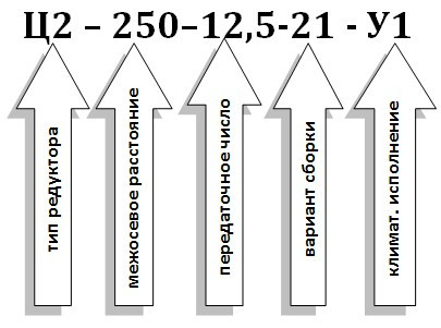 Условное обозначение редуктора Ц2-250 Условное обозначение редуктора Ц2-250
