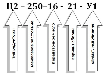 Условное обозначение редуктора Ц2-250 Условное обозначение редуктора Ц2-250