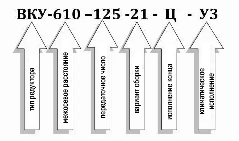 Пример условного обозначения редуктора ВКУ-610М-125 Пример условного обозначения редуктора ВКУ-610М-125