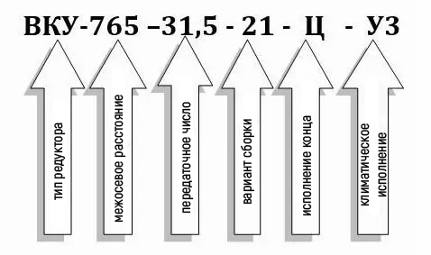 Пример условного обозначения редуктора ВКУ-765М-31,5 Пример условного обозначения редуктора ВКУ-765М-31,5