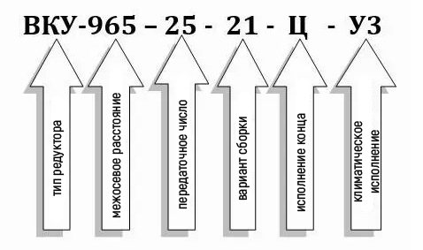 Пример условного обозначения редуктора ВКУ-965М-25 Пример условного обозначения редуктора ВКУ-965М-25