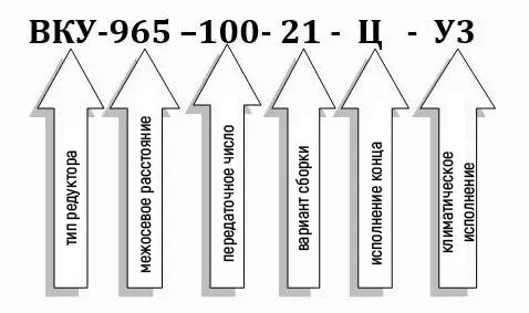 Пример условного обозначения редуктора ВКУ-965М-100 Пример условного обозначения редуктора ВКУ-965М-100